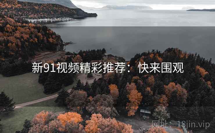 新91视频精彩推荐：快来围观