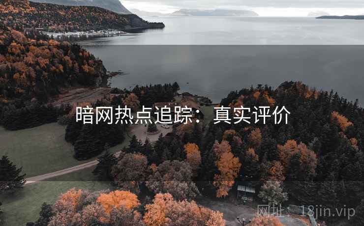 暗网热点追踪：真实评价